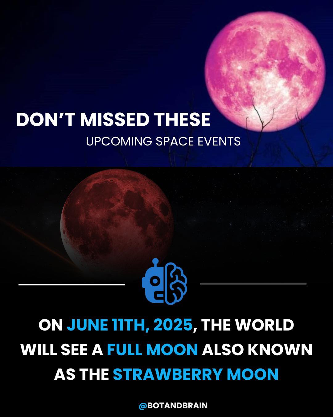 Bot - Witness the Magic: The Strawberry Full Moon Rises on June 11 ...