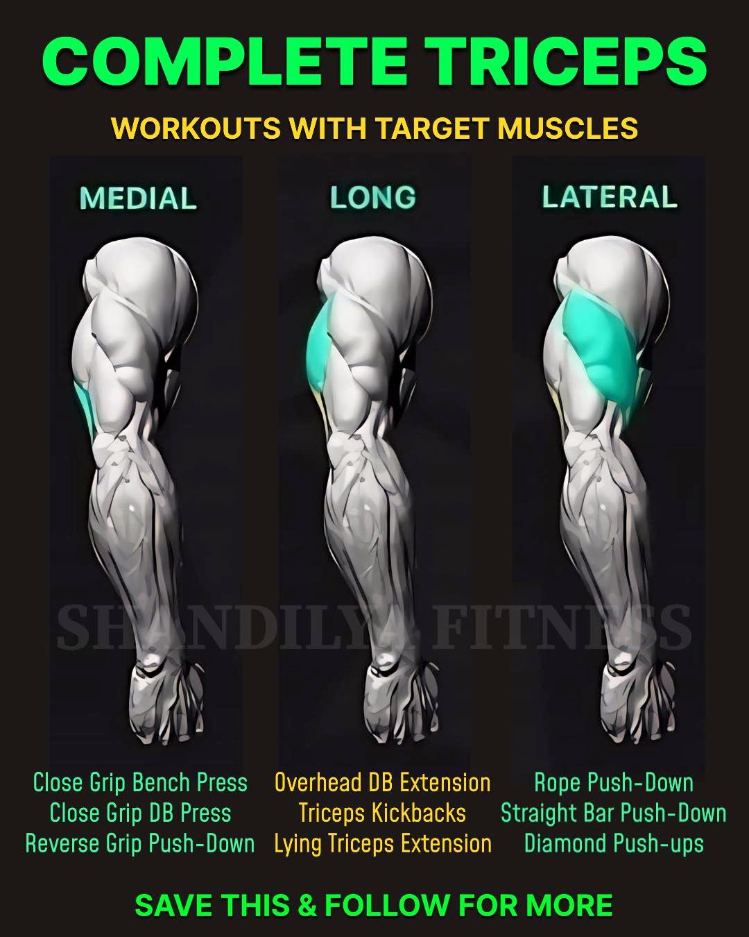 Suraj - 🔹Triceps Workouts with Target Muscles Want to grow your triceps ...
