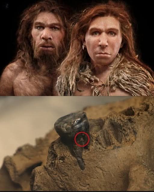 スライム Chinese paleontologists discover Denisovan skull with ancient