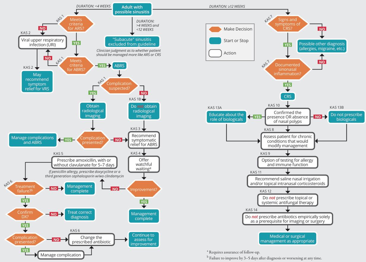 Guideline - Adult With Possible Rhinosinusitis Algorithm from the ...