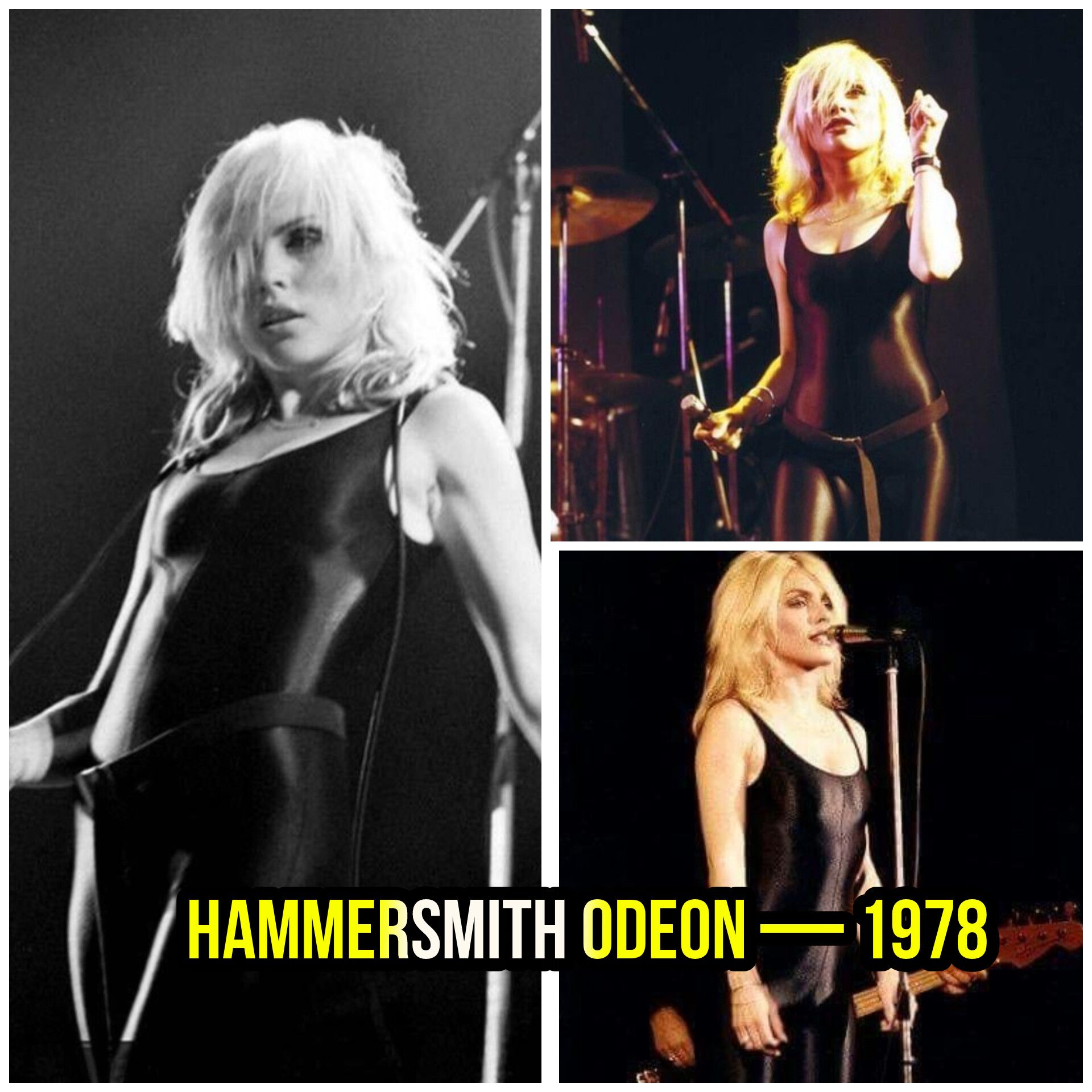Blondie's 1978 Tokyo performance sparks global fame