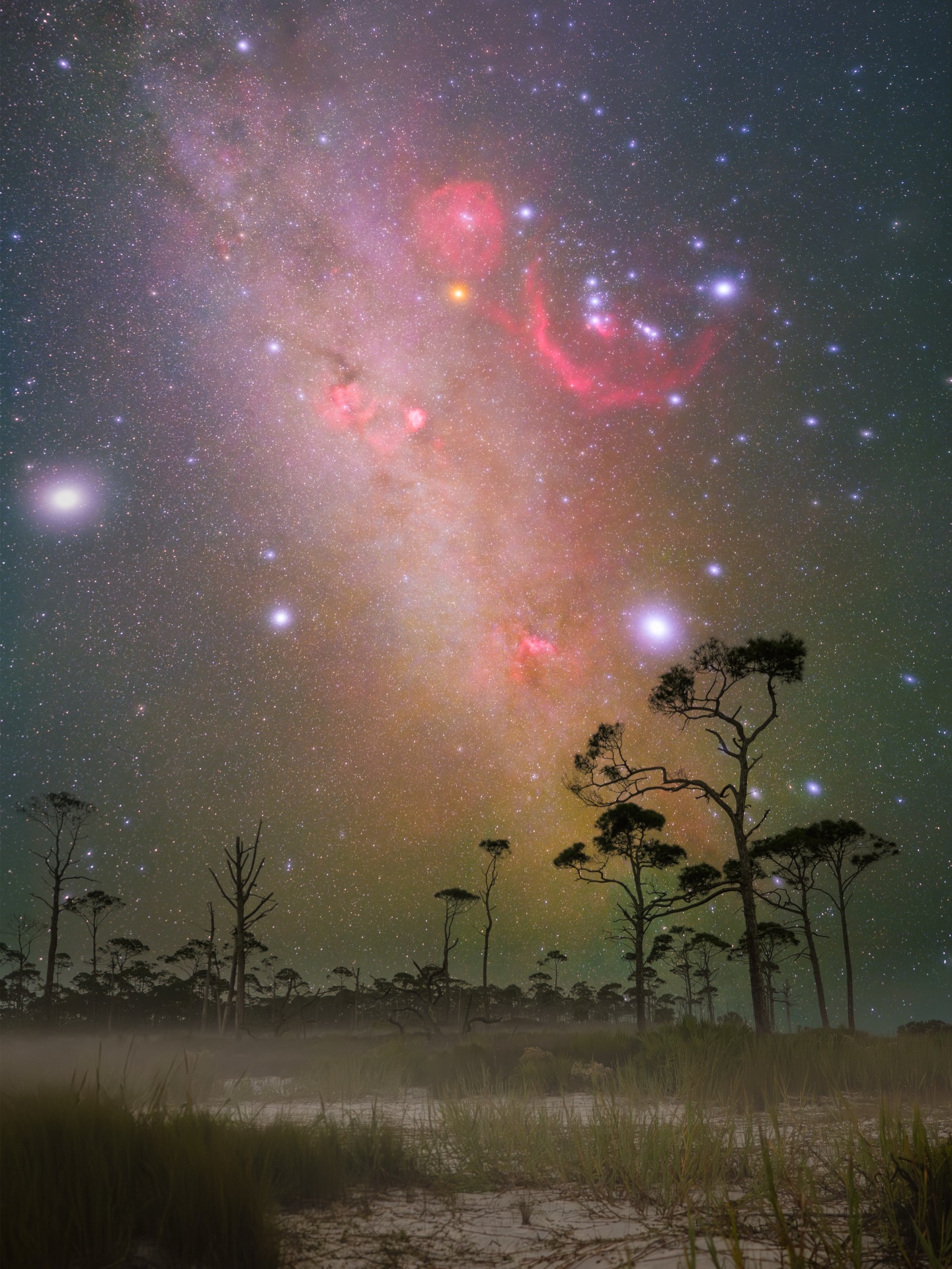 Jason Rice Astro