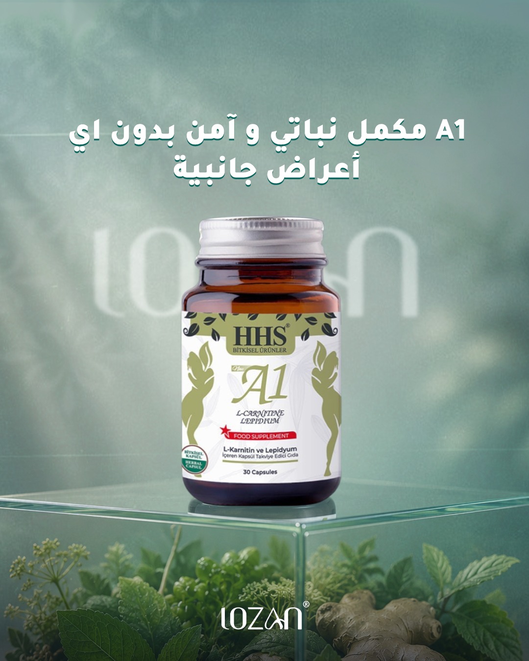 hhs a+1 l-carnitine lepidium 30 capsule LOZAN Health Clomipramine Hydrochloride Capsules, USP(25