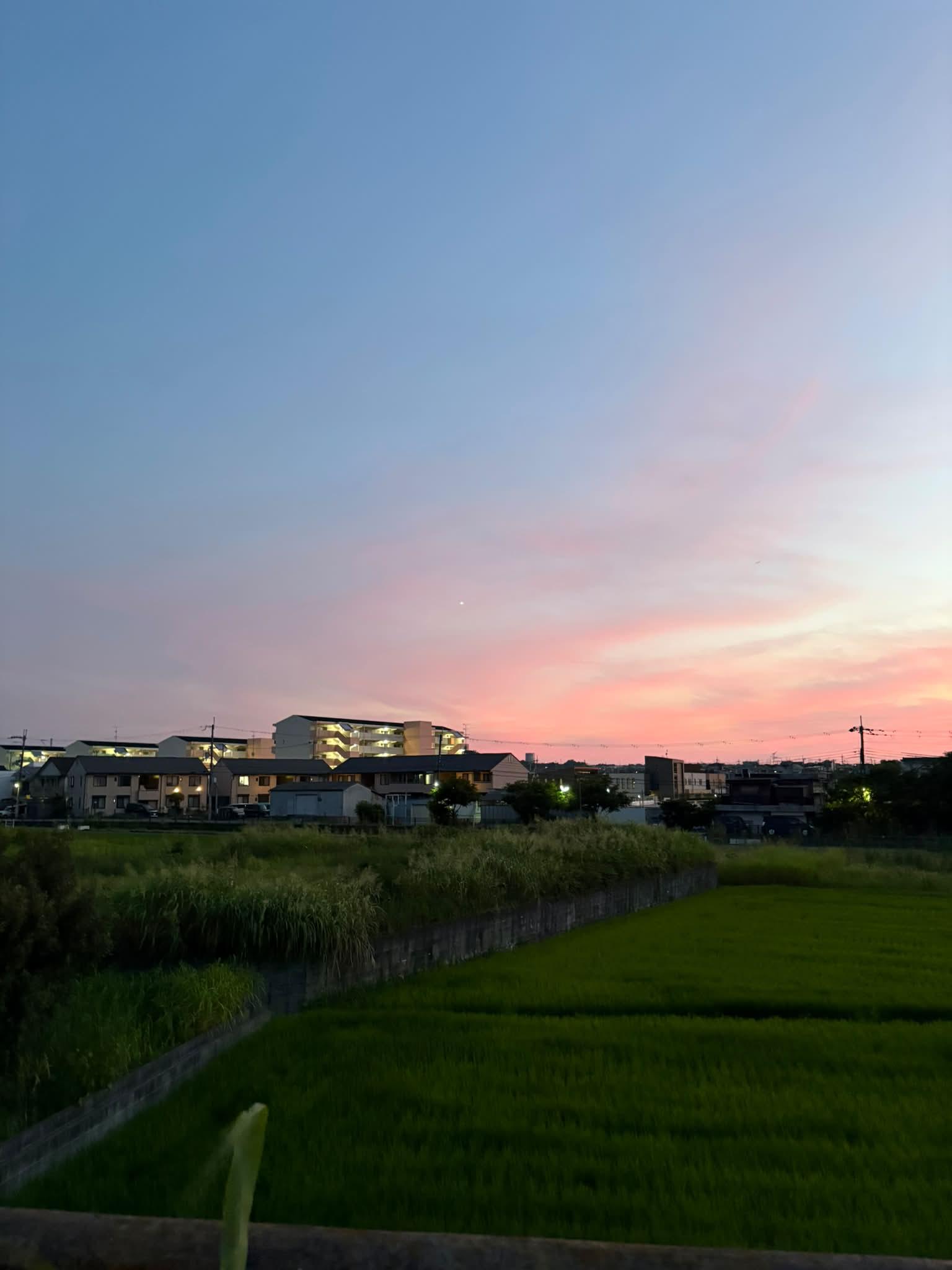 夕日☀️