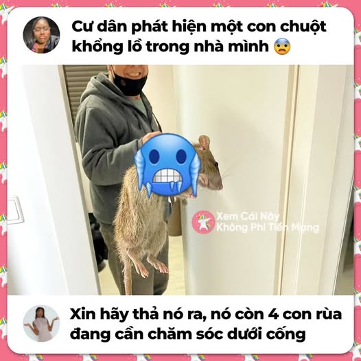 MeMe FamilyGuy Hài Hước | Để bốn con rùa đó tìm tới là hơi mệt á 🤡 ...