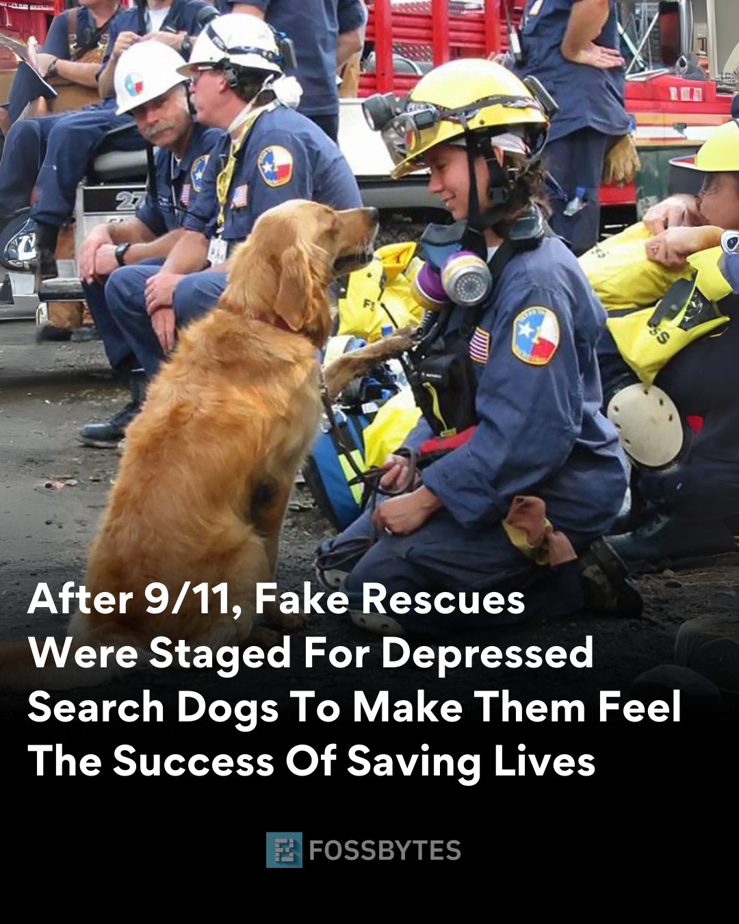 Fossbytes - In the aftermath of 9/11, search-and-rescue... | Facebook