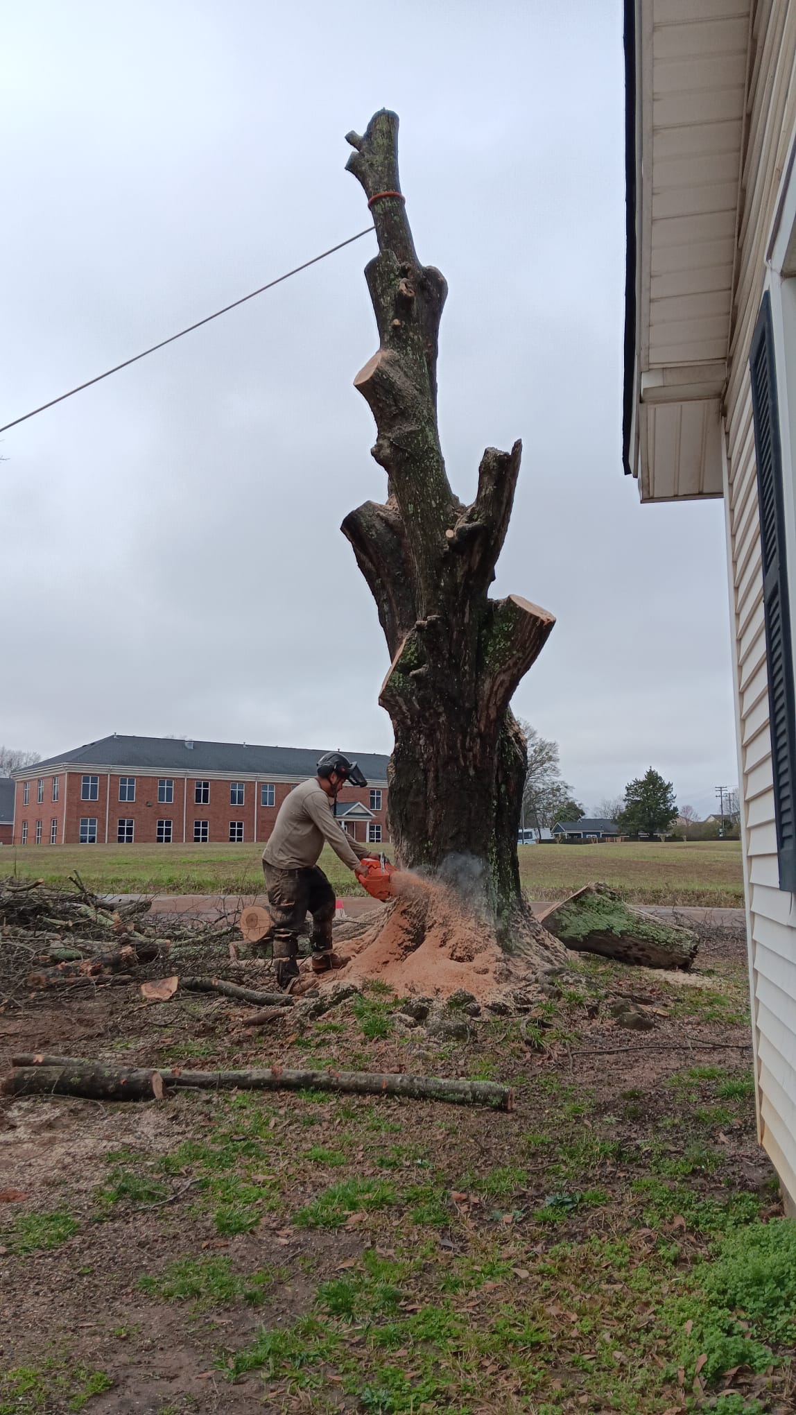 Tree Service Ventura LLC | Greenville SC