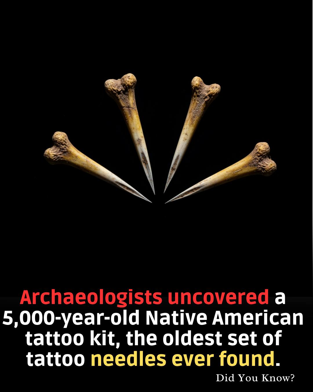 Did - 🦴🎨 Archaeologists in Tennessee uncovered a 5,000-year-old Native ...