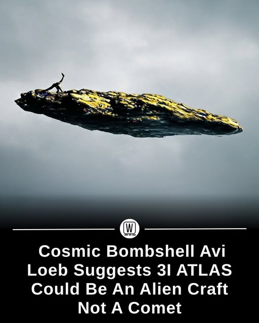A Bayard - Harvard astrophysicist Avi Loeb has ignited fresh ...