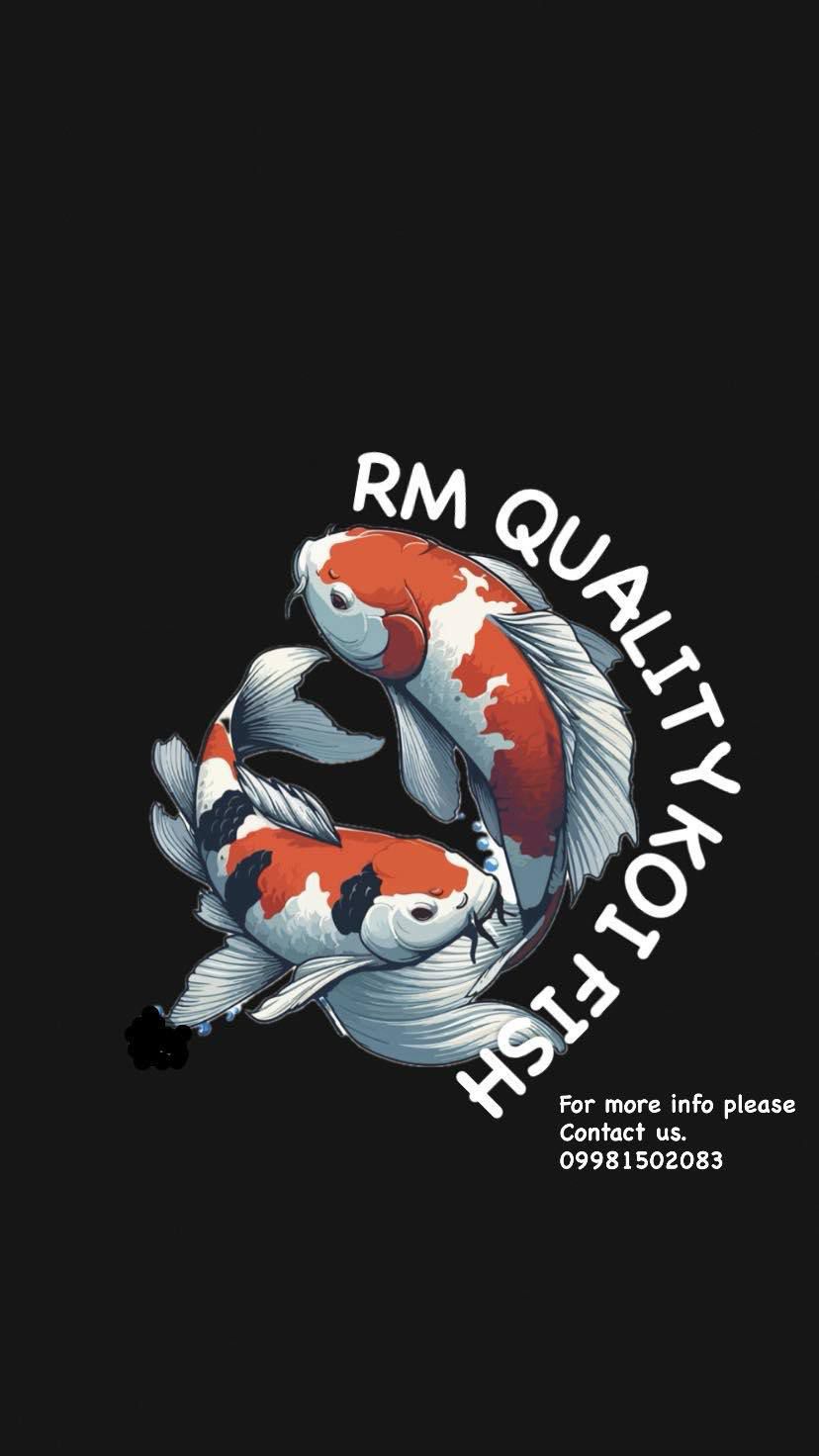 RM Quality Koi Fish
