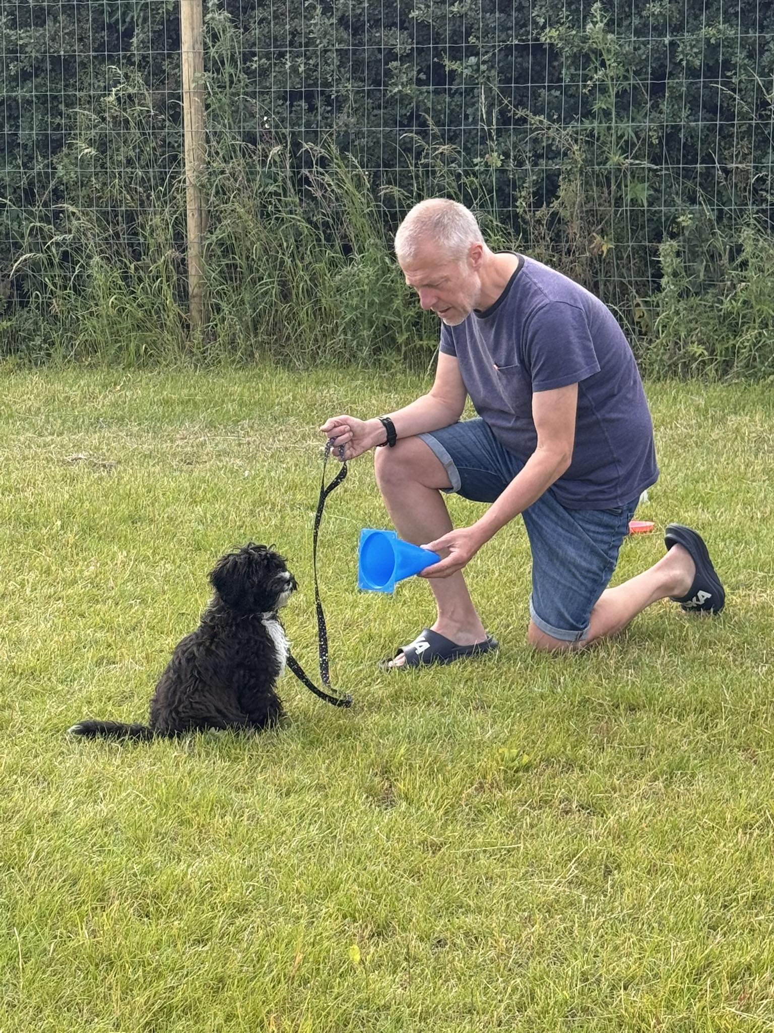 24/7 Dog Training | Runcorn