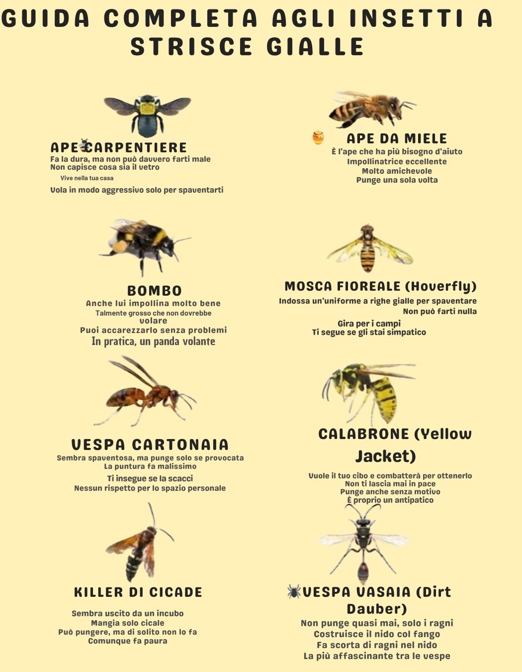 Suggerimenti - Le api svolgono un ruolo fondamentale nell ...