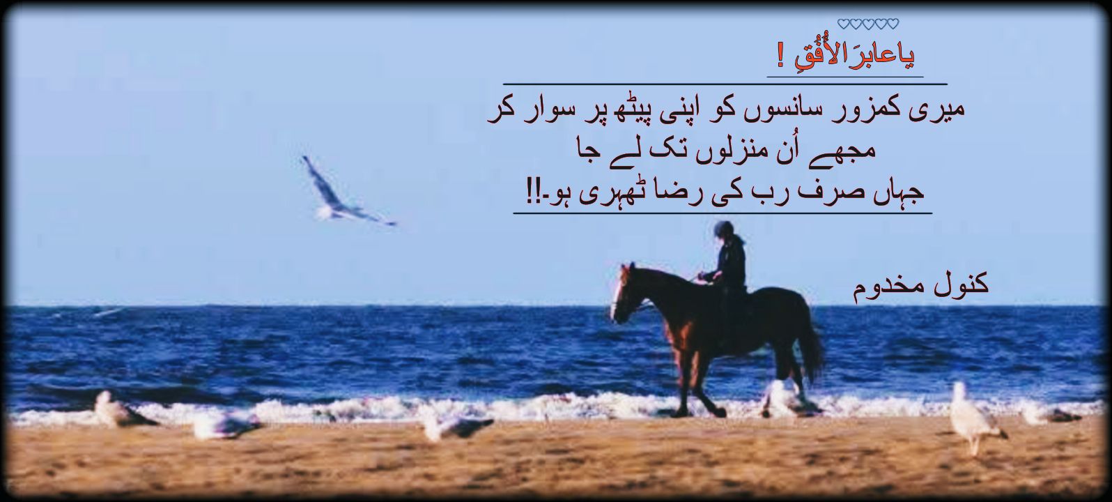 کنول مخدوم