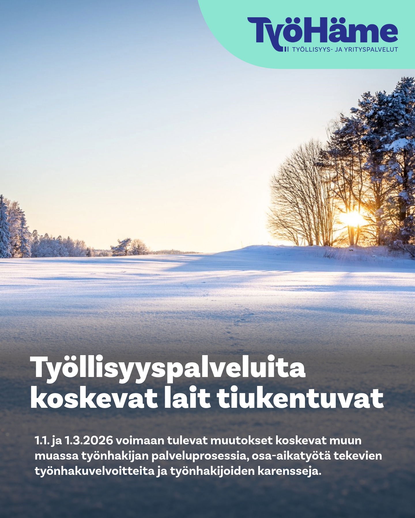 ty-h-meen-ty-llisyyspalveluita-koskevat-lait-tiukentuvat-1-1-ja-1-3