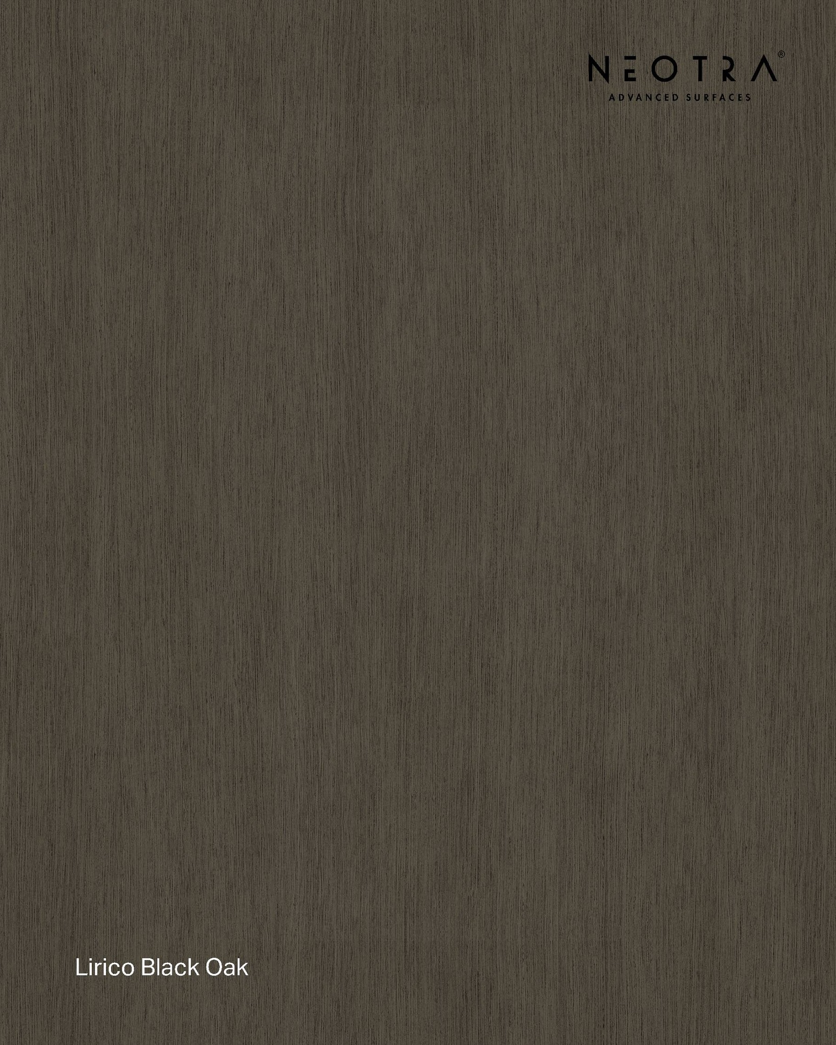 Neotra Stones | Mumbai
