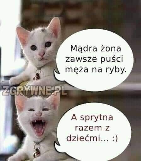 Dowcipy i kawały erotyczne, zboczone, bez cenzury ;) | 🤣🤣🤣 | Facebook