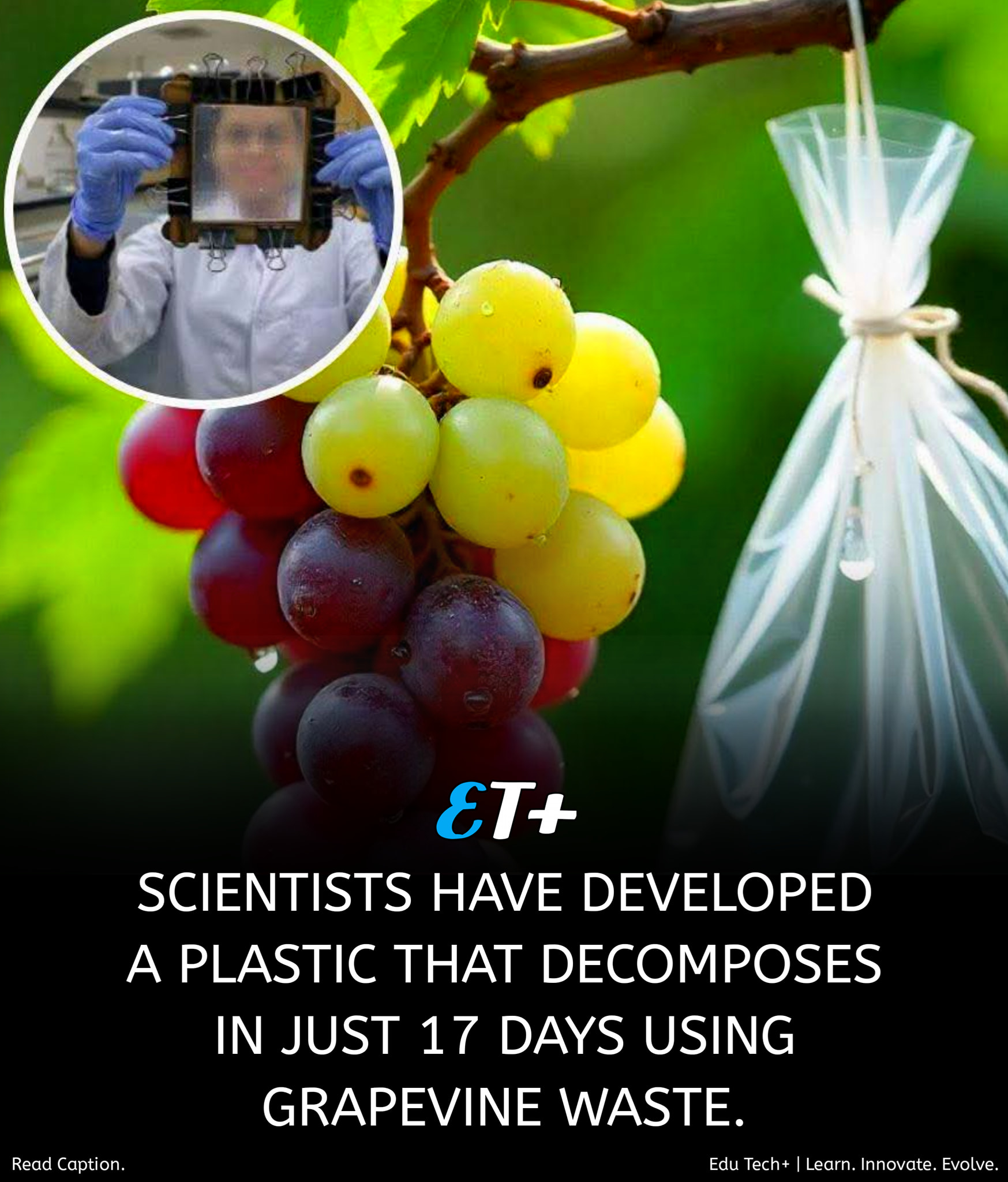 Science and Facts | 🍇 NEW BIO-PLASTIC BREAKTHROUGH | Facebook