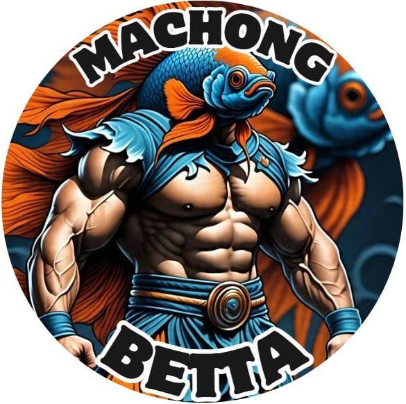 Machong betta