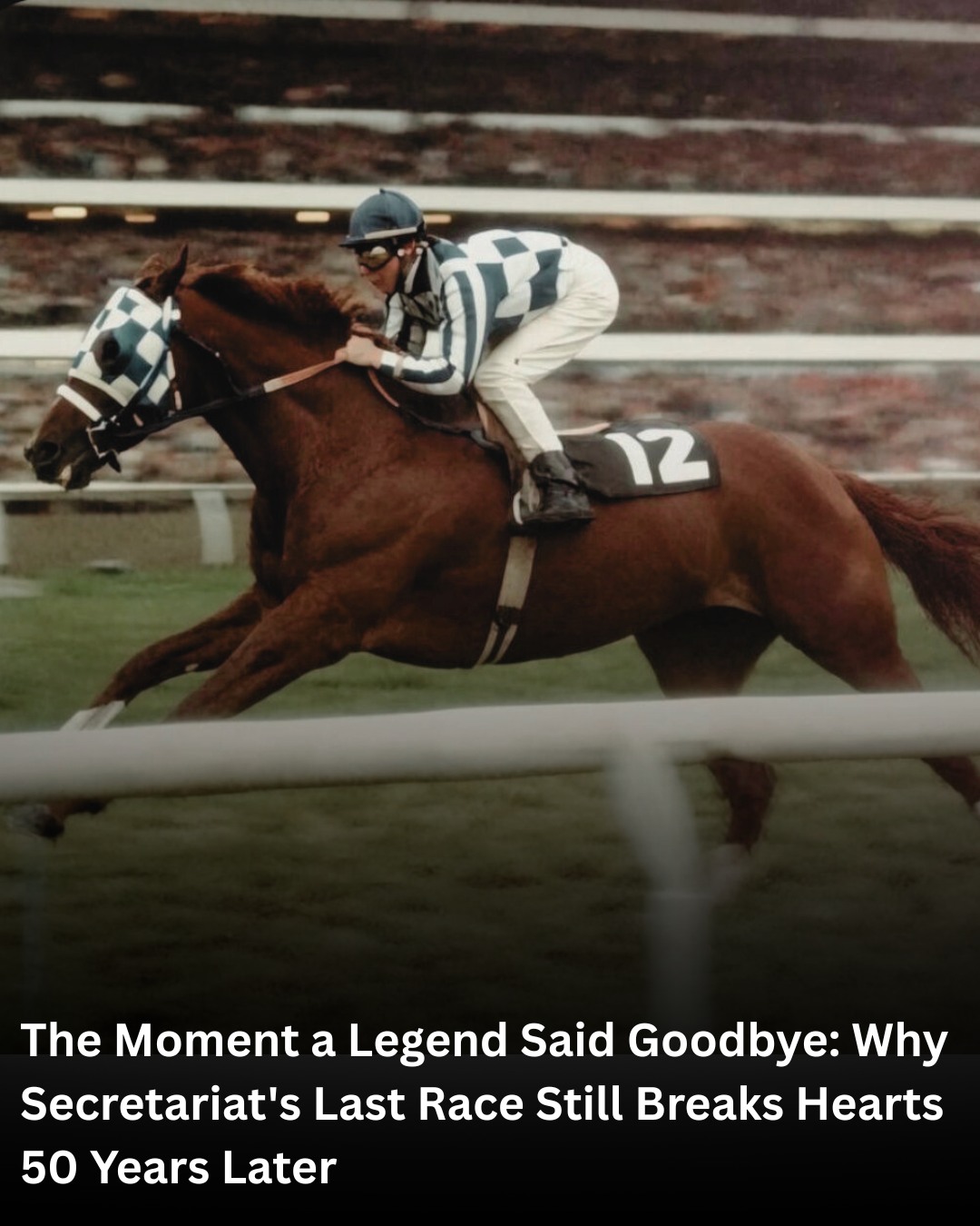Soul - The date was October 28, 1973, and Woodbine Racetrack in Toronto ...
