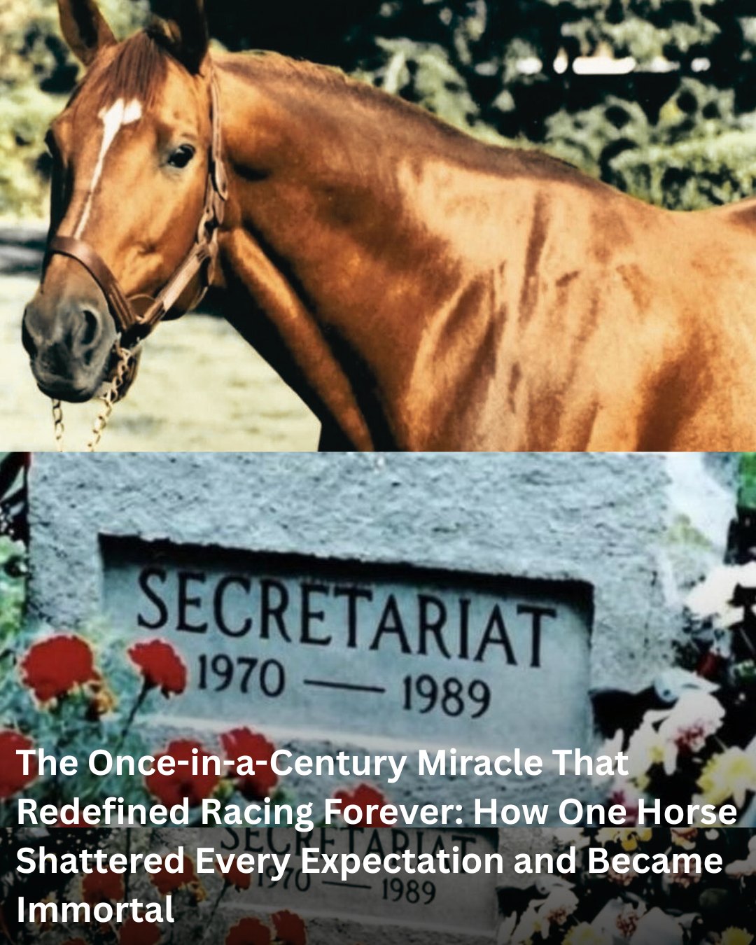 Soul - For generations, America's legendary racing dynasties shared a ...