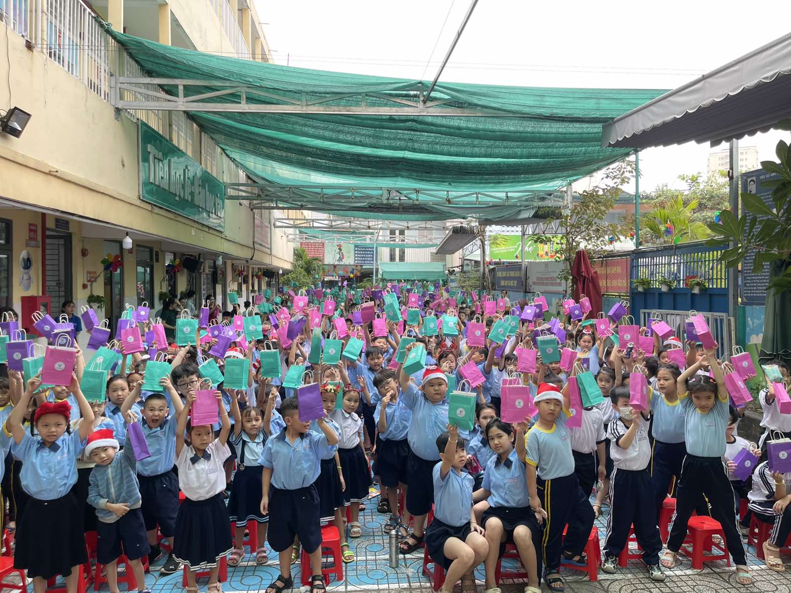 IViVi Education | Vung Tau