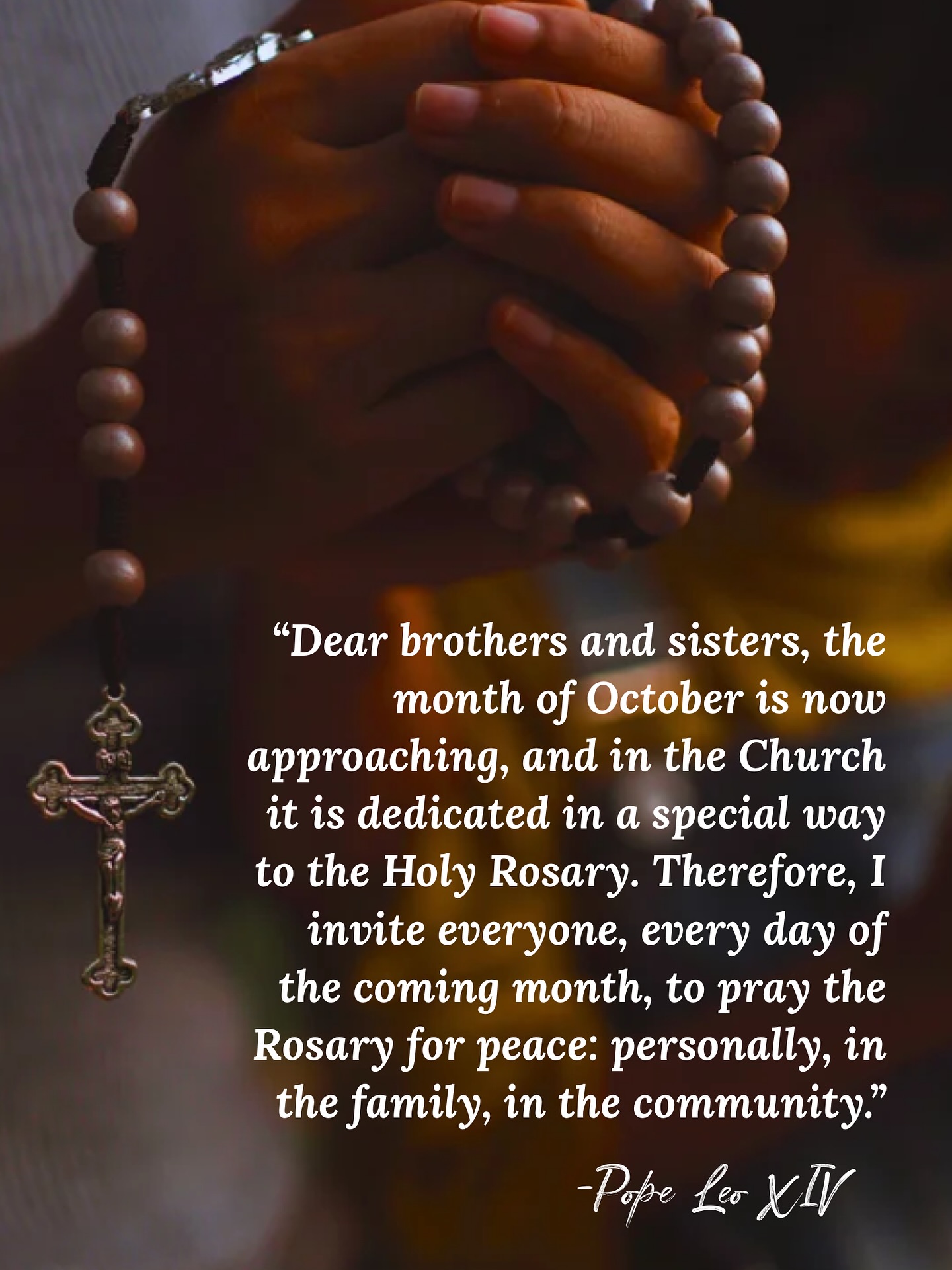 🌹 For centuries the Rosary has... - Purposely Catholic | Facebook