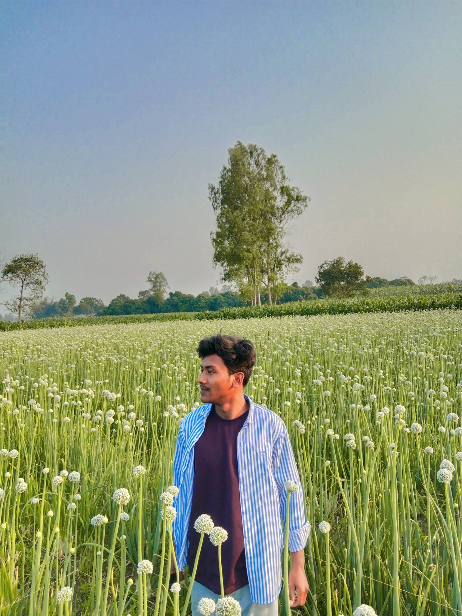 AJoy Roy
