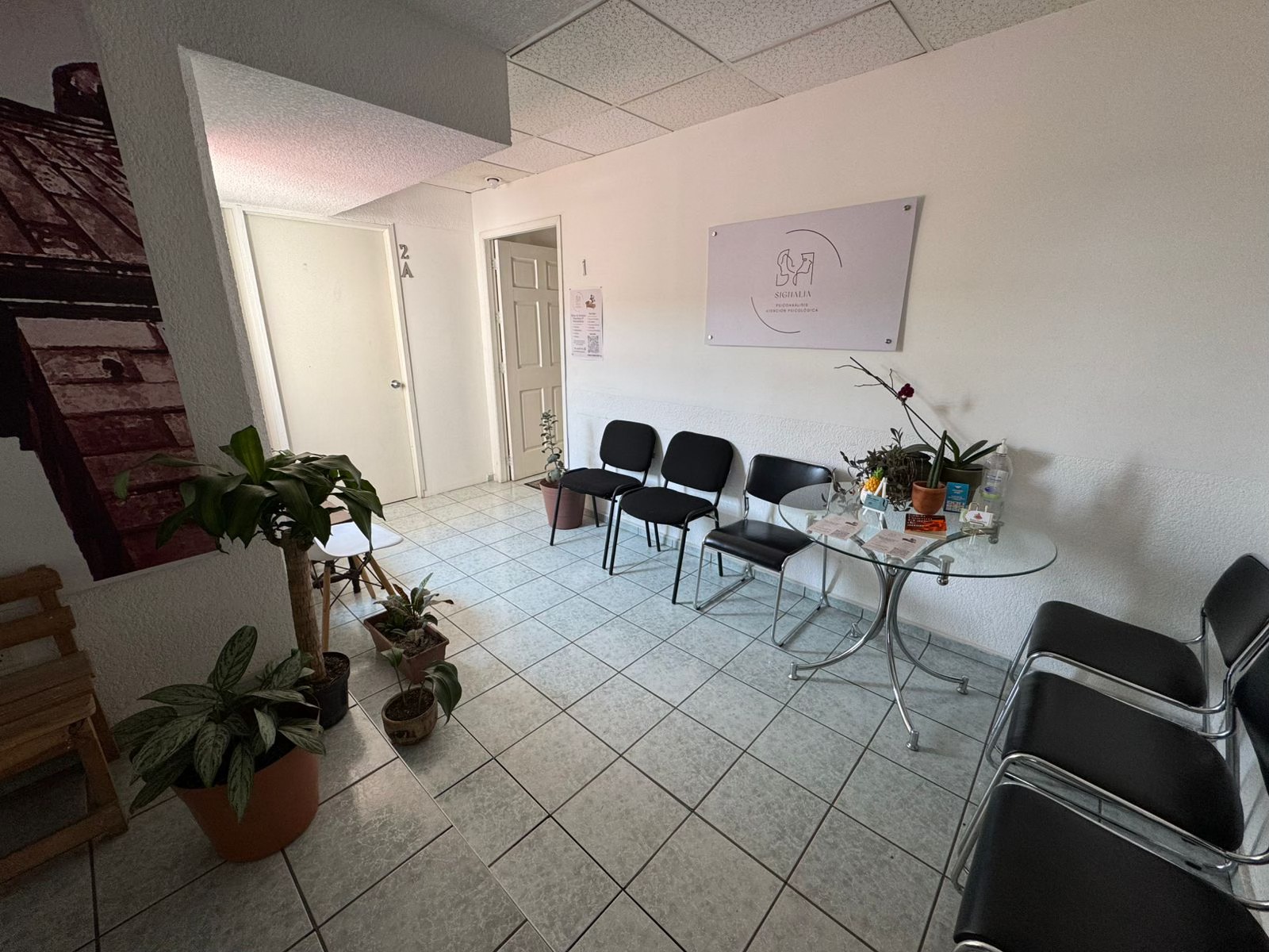 Signalia Psicoanálisis & Psicología Clínica | Querétaro