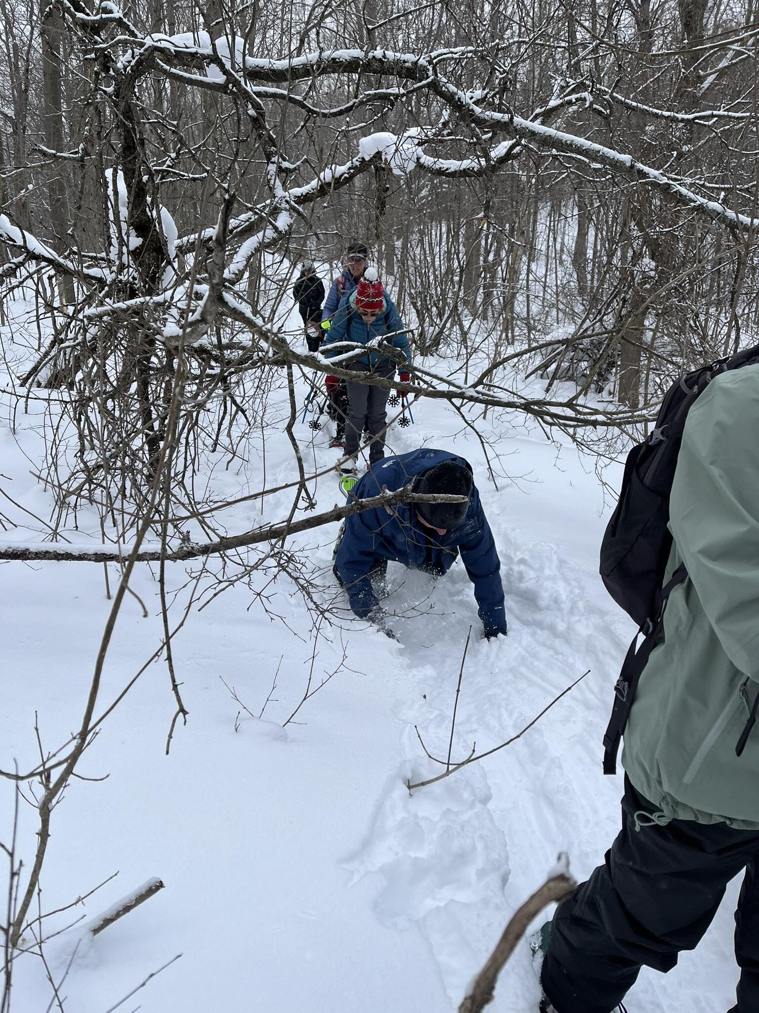 Oak Ridges Trail Association | Toronto ON