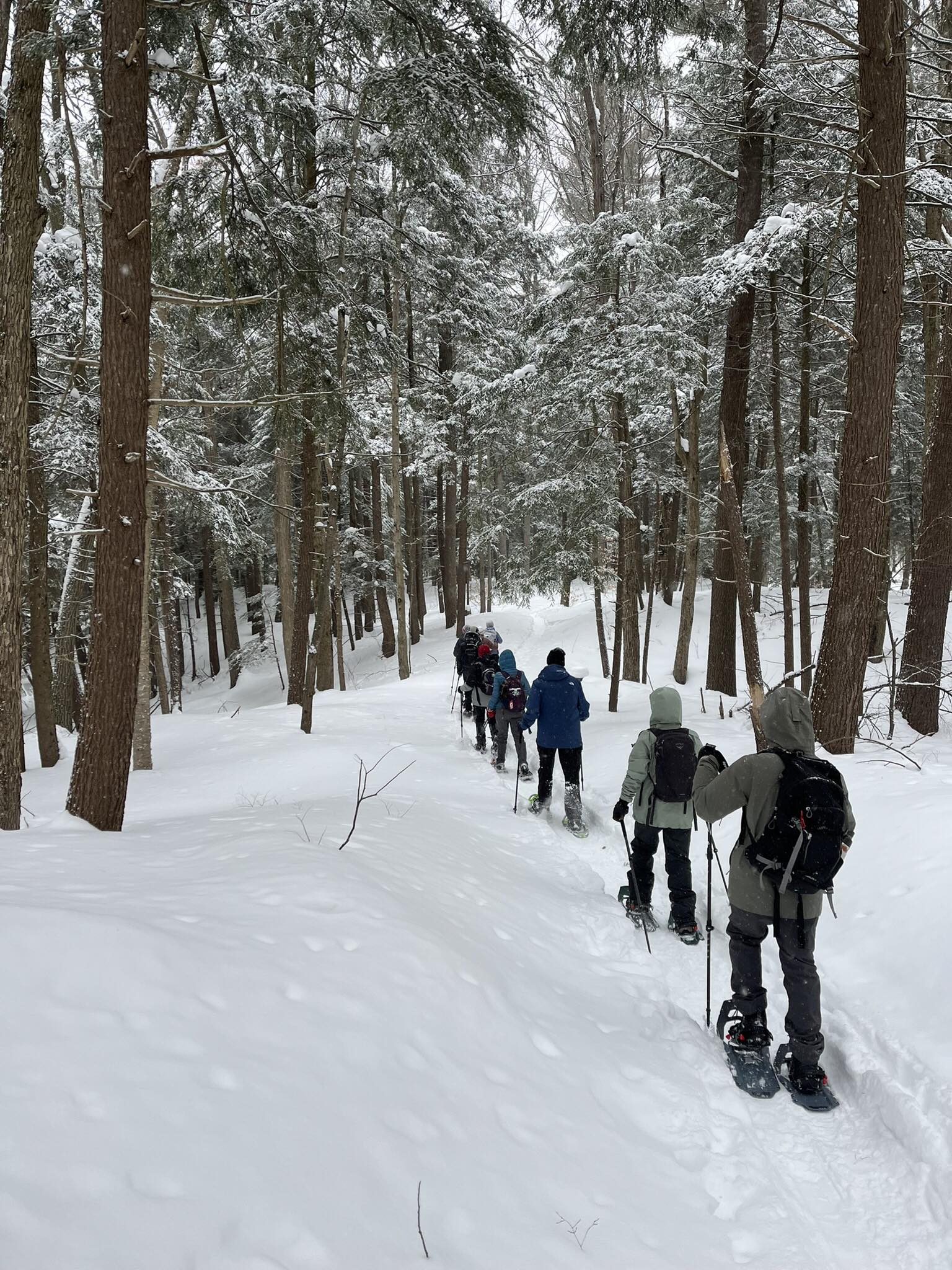 Oak Ridges Trail Association | Toronto ON