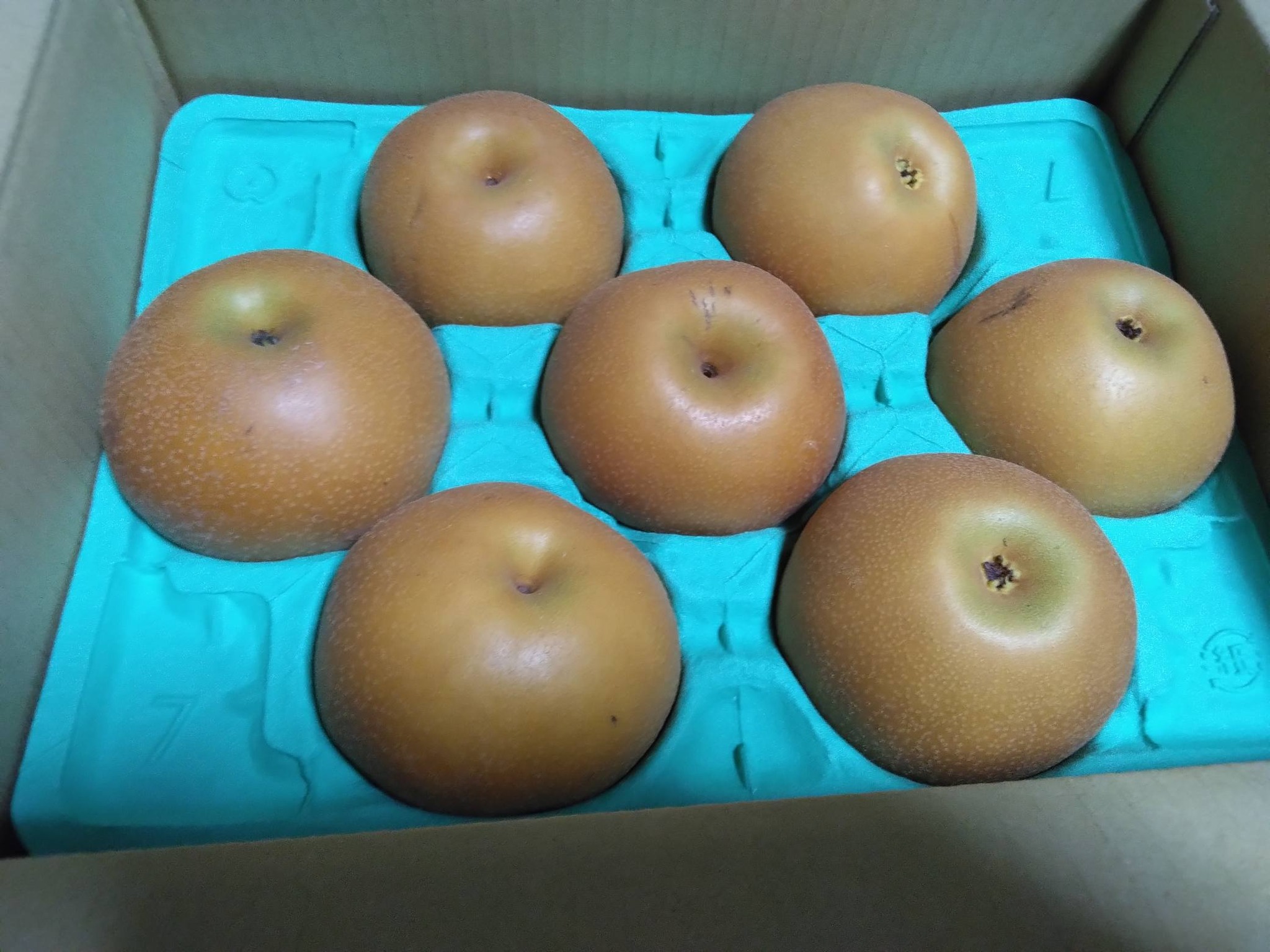 群馬県前橋市の関口果樹園さんから前橋市特産の大島梨3㎏が届いた