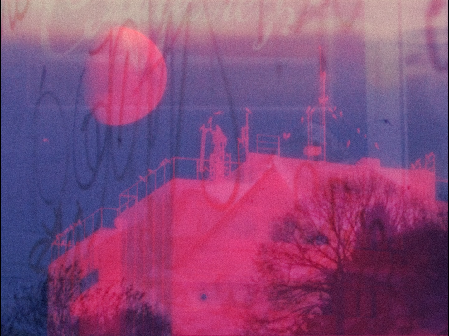 Bitter Blue