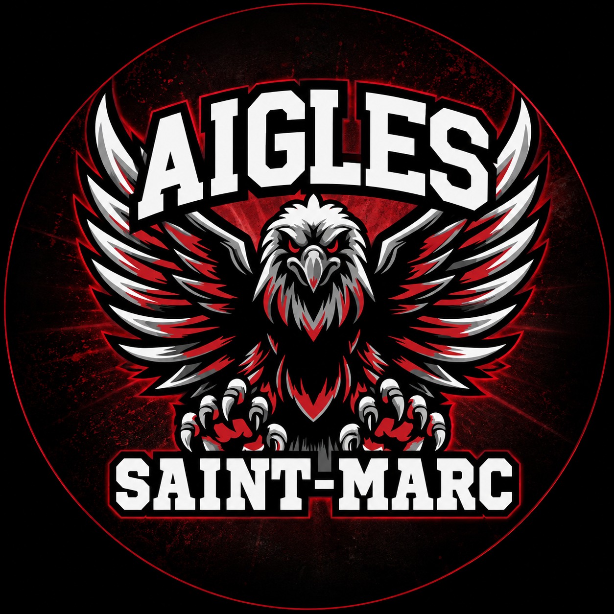 🦅 𝗩𝗢𝗦 𝗔𝗜𝗚𝗟𝗘𝗦 — É𝗗𝗜𝗧𝗜𝗢𝗡... - Les Aigles de Saint-Marc | Facebook