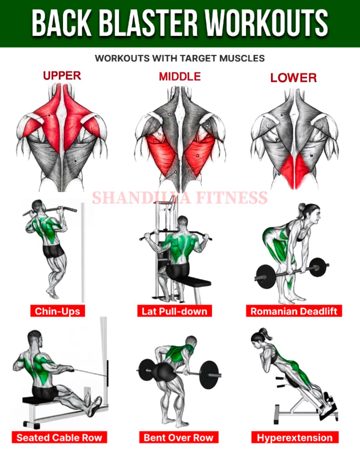 Suraj - 🔸Back Blaster Workouts Add these in your routine to build broad ...