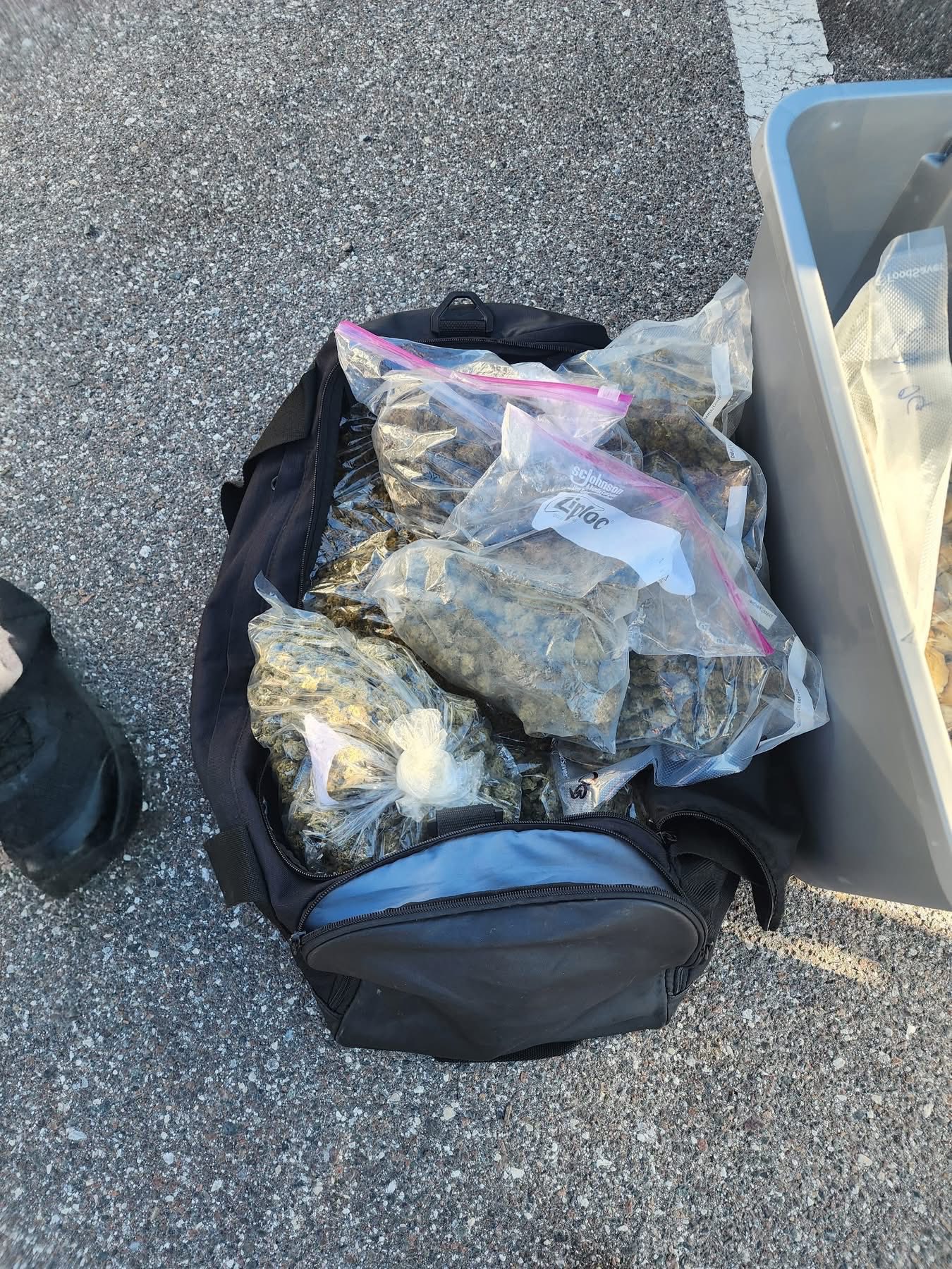 Pinellas County... - Pinellas County Arrests and Mugshots