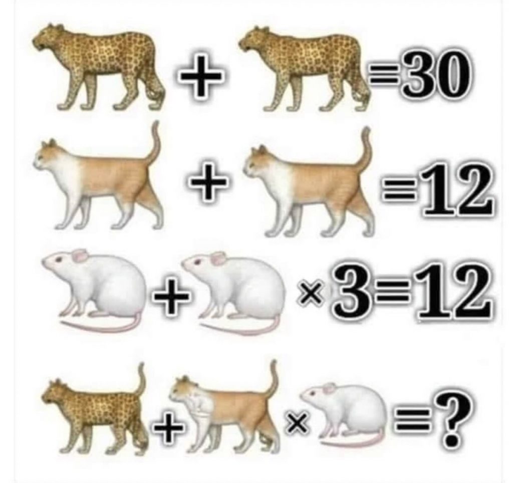 Easy - Solve This Cat, Leopard And Mouse Math Riddle | Facebook