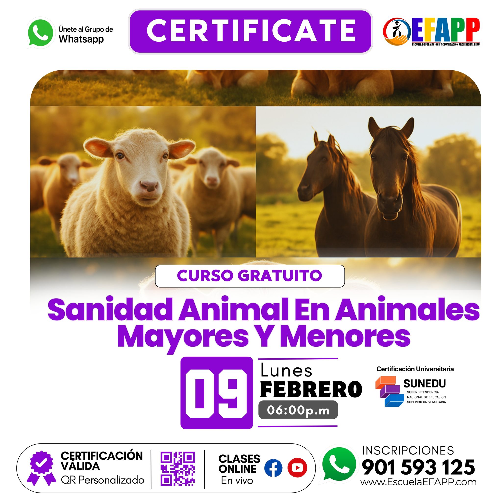 Cursos y diplomados Escuela EFAPP