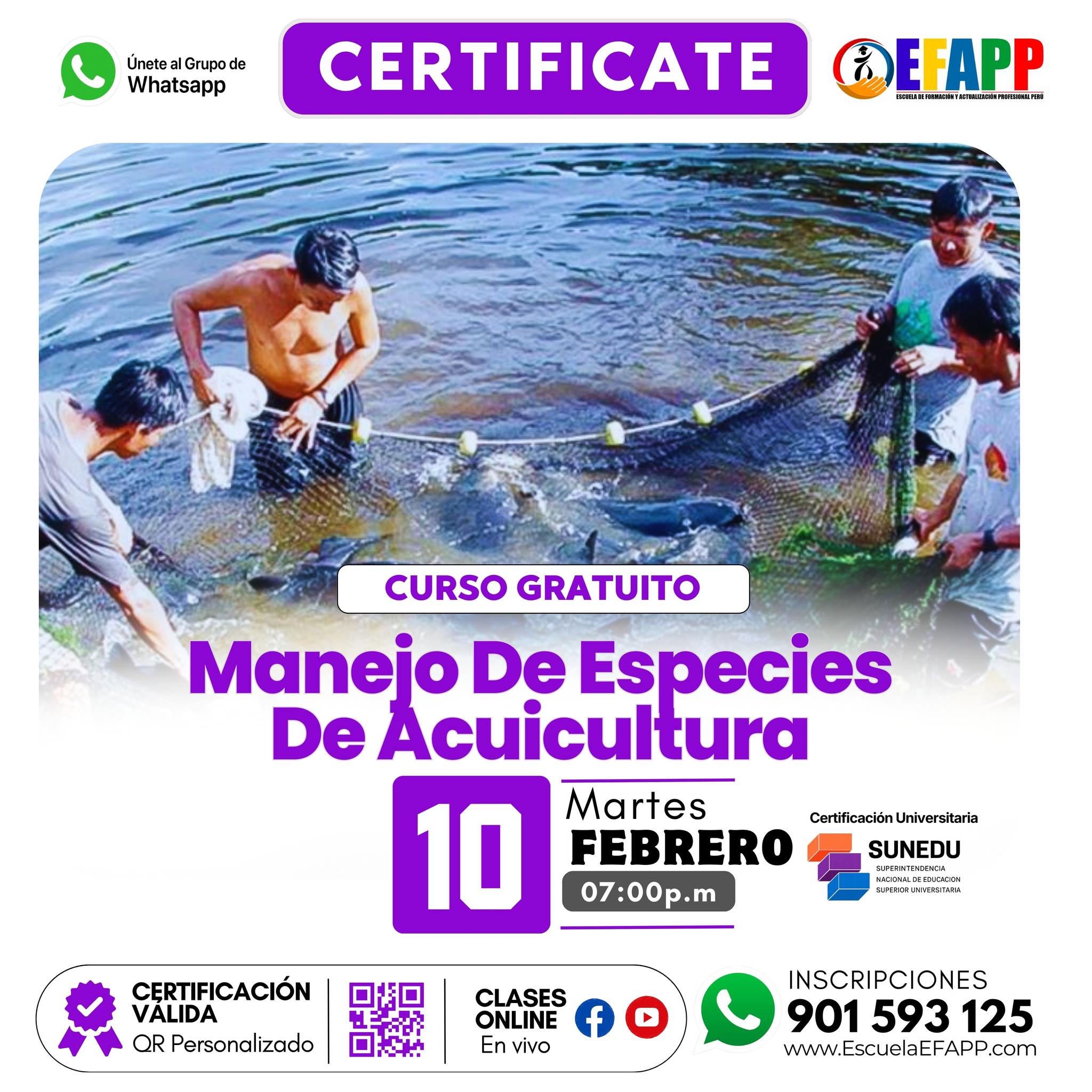 Cursos y diplomados Escuela EFAPP
