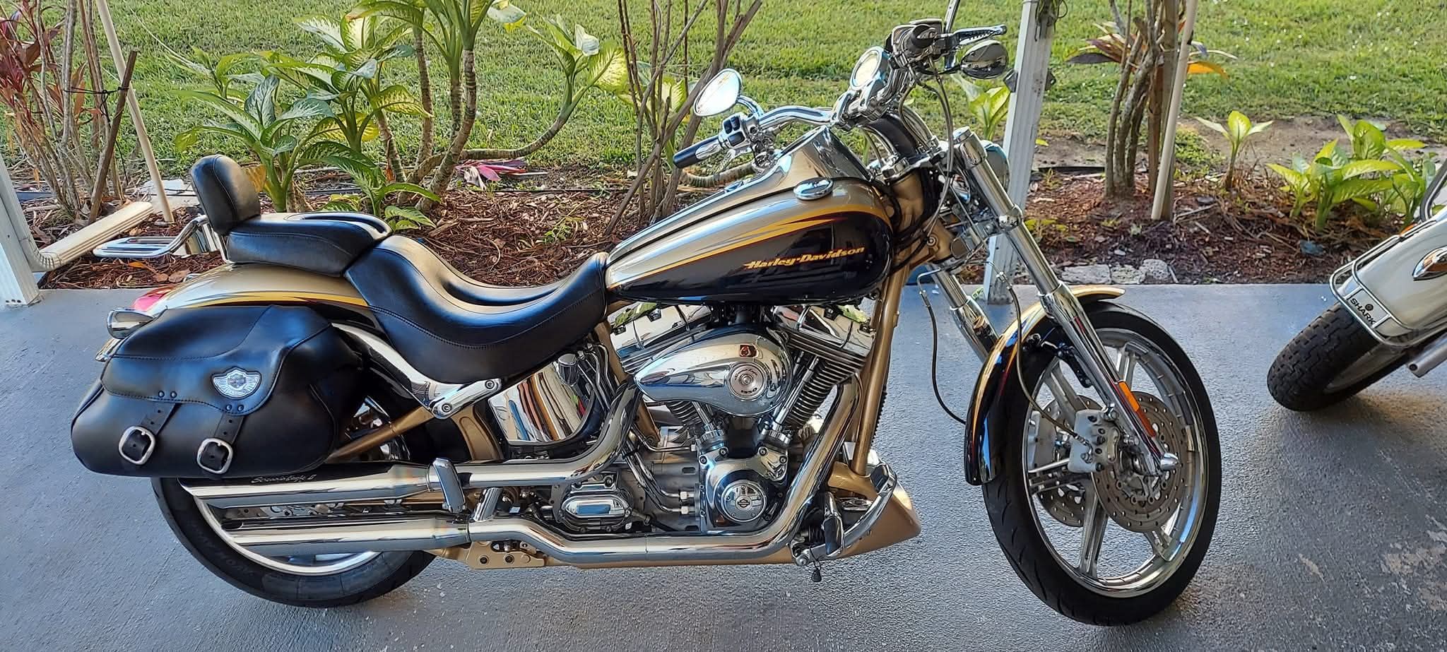 1995 Harley Davidson Sportster 1200 Anniversary Edition with gold trim