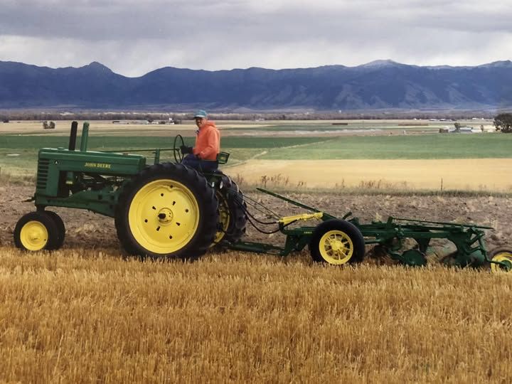 TractorGuy - I had recently restored this 1951 A and this 55-ABH 3 ...