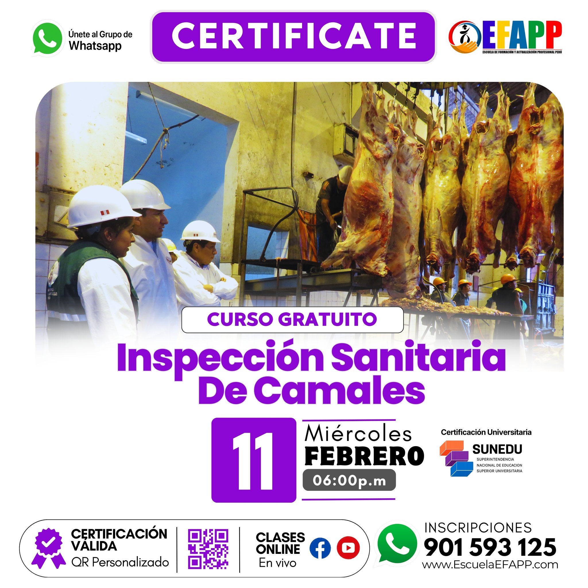 Cursos y diplomados Escuela EFAPP