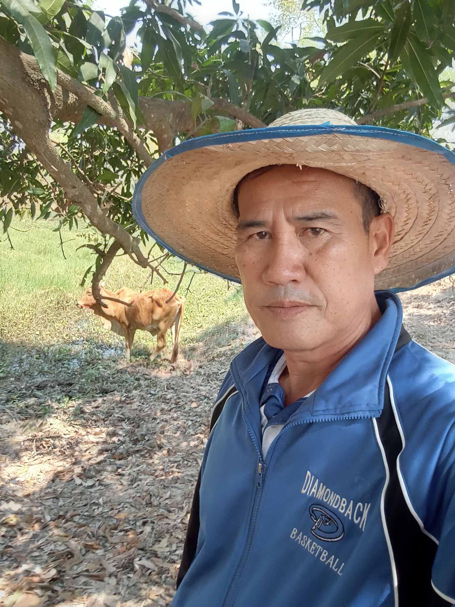 นง พละลี