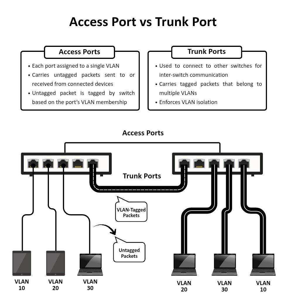 Hacker339 - Access Port vs Trunk Port Access Ports: Connect devices to ...