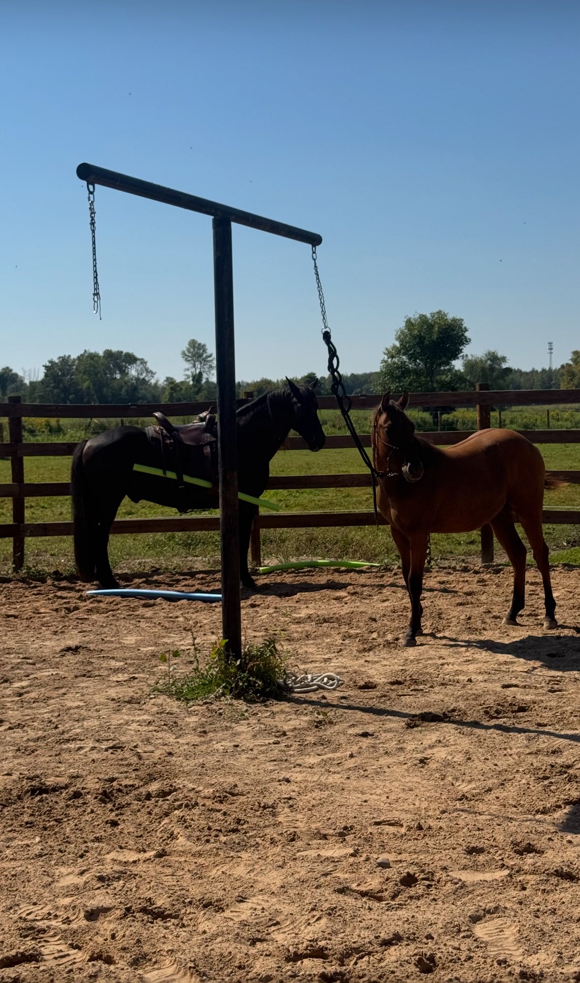 Bleu Steele Ranch | Green Bay WI