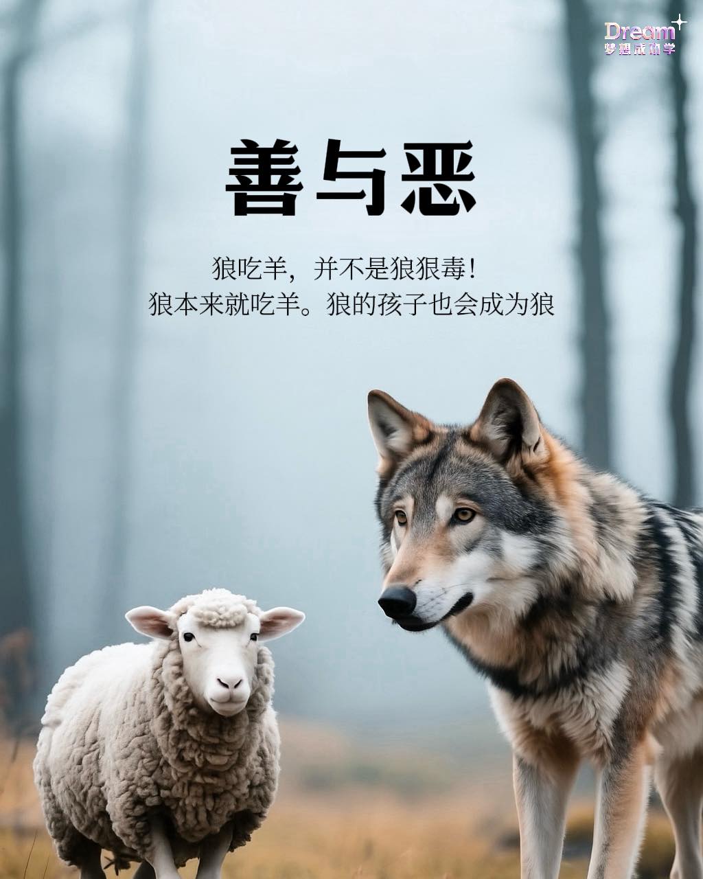 梦想成功 - 狼吃羊，并不是狼狠毒！ 狼本来就吃羊。狼的孩子也会成为狼。 善与恶，本无绝对。对羊来说，狼是残忍的； 对狼来说，这是生存的必然 ...