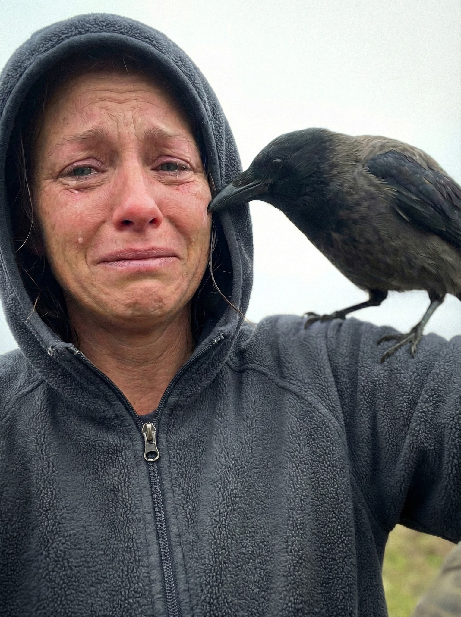 Crow Addict - I didn’t expect to break like this. I... | Facebook
