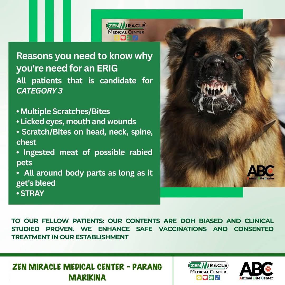 Zen - 🐾 Rabies is fatal and deadly. Non curable but can be prevented by ...