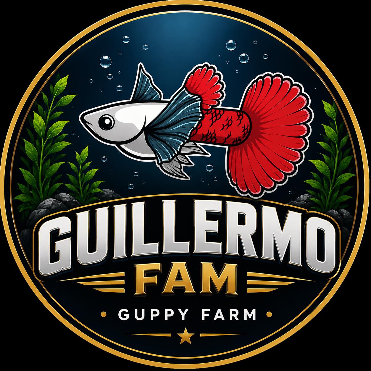 Snake Skin Blue Tail swimming to Abucay, Bataan #guppy | Guillermo Fam