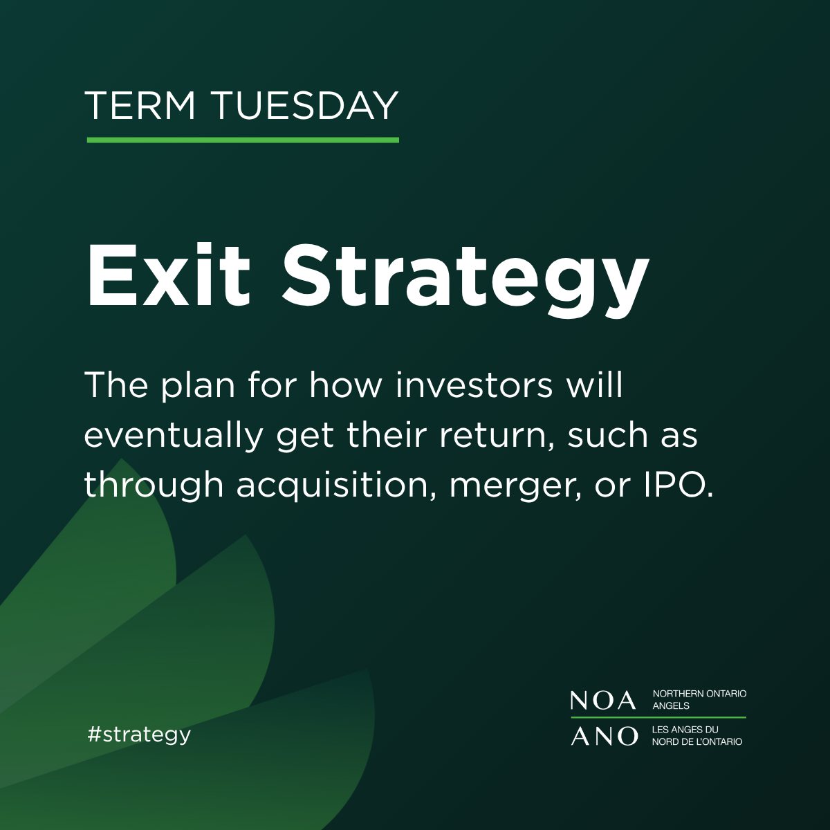 Northern - What does an Exit Strategy mean for the long term success of ...