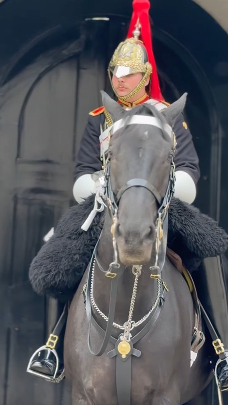 Kings Guards Uk | Stunning photography of Royal King's guard with ...